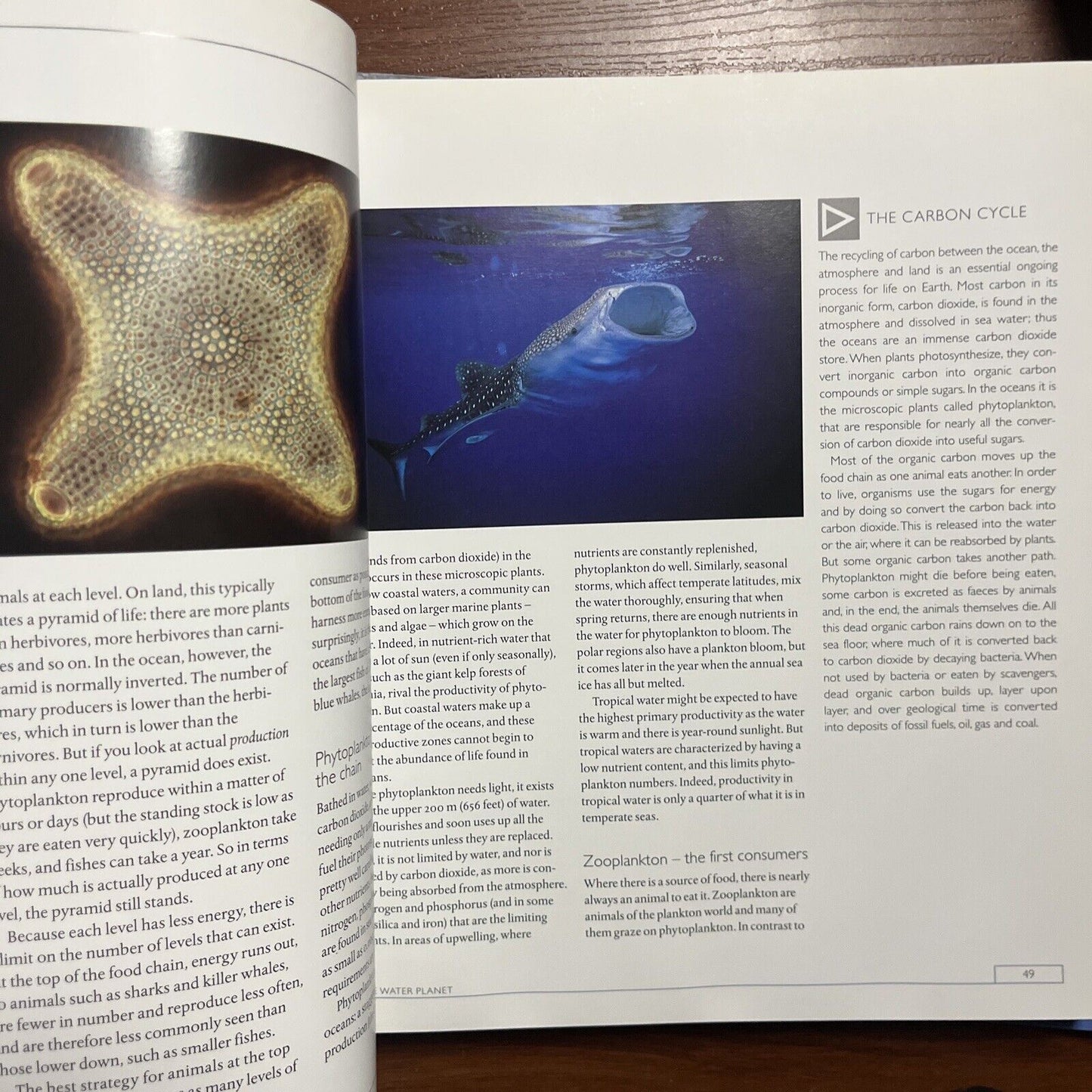 BBC The Blue Planet -  A Natural History Of The Oceans (Hardcover, 2001)