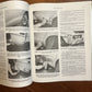 Gregory's Car Body Repair Manual No 401 by Donald Wait