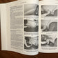 Gregory's Car Body Repair Manual No 401 by Donald Wait