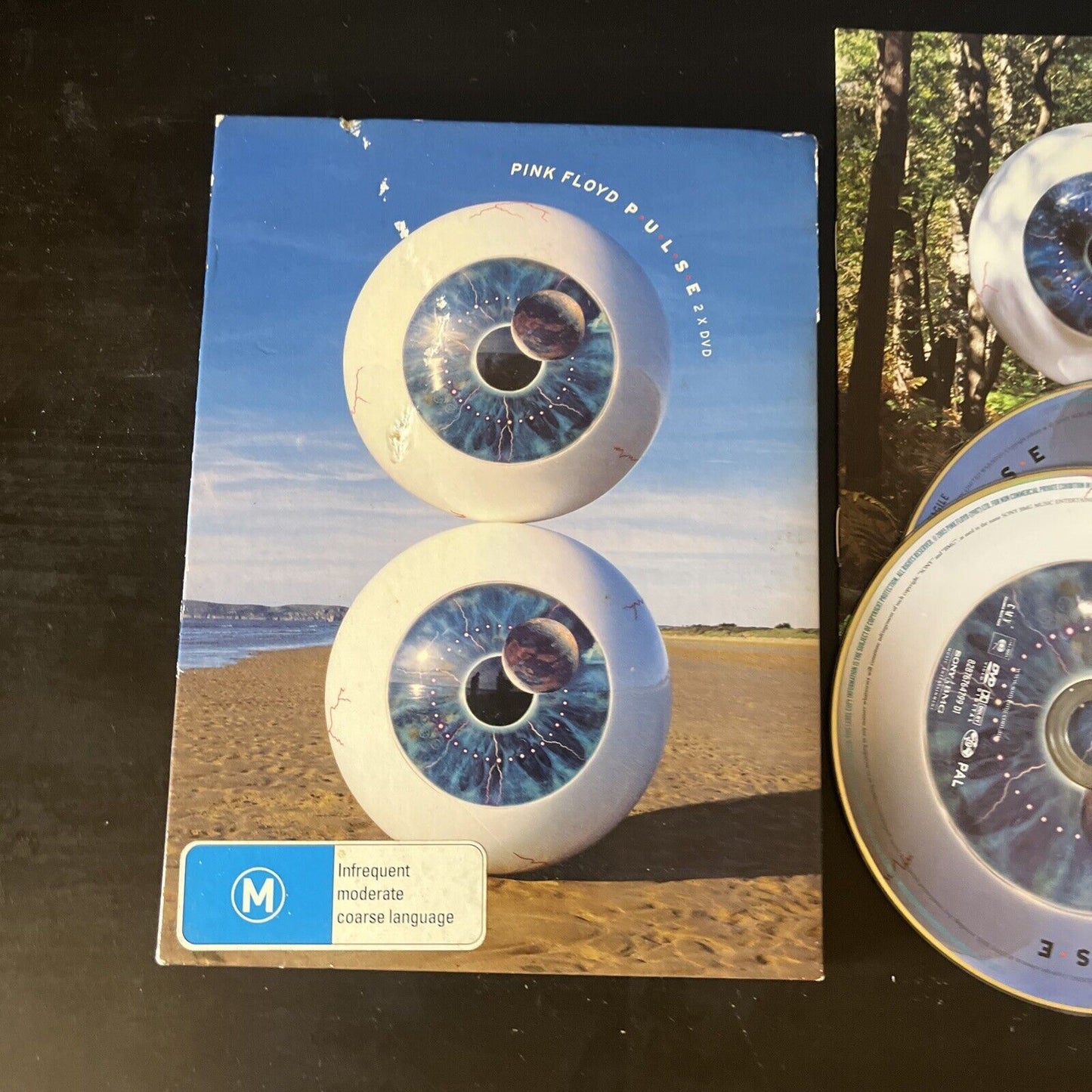 Pink Floyd In Concert Pulse (DVD, 1994, 2-Disc) All Regions