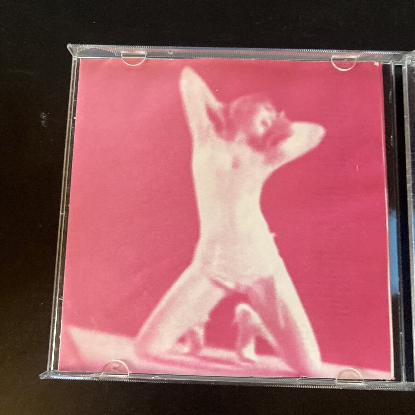 Peaches - Fatherfucker (CD, 2003)