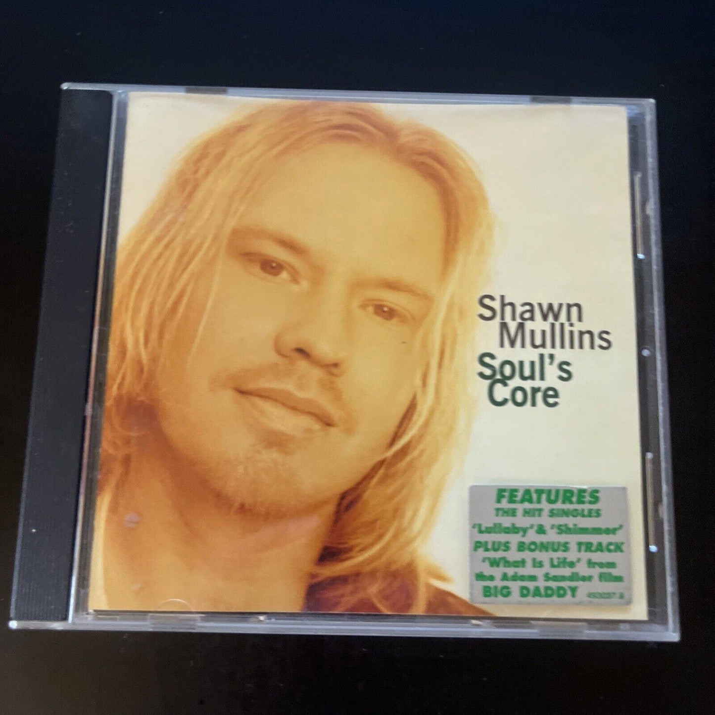 Shawn Mullins - Soul's Core (CD, 1998)