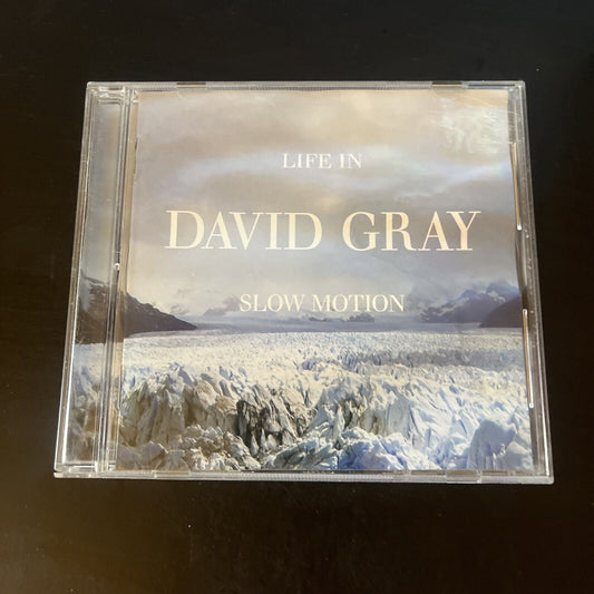 David Gray - Life in Slow Motion (CD, 2005)