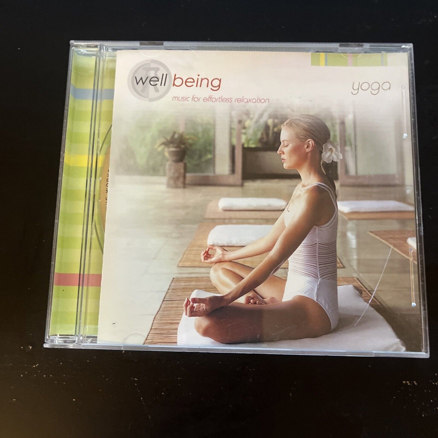 Well Being: Yoga by Various Artists (CD, 2004)