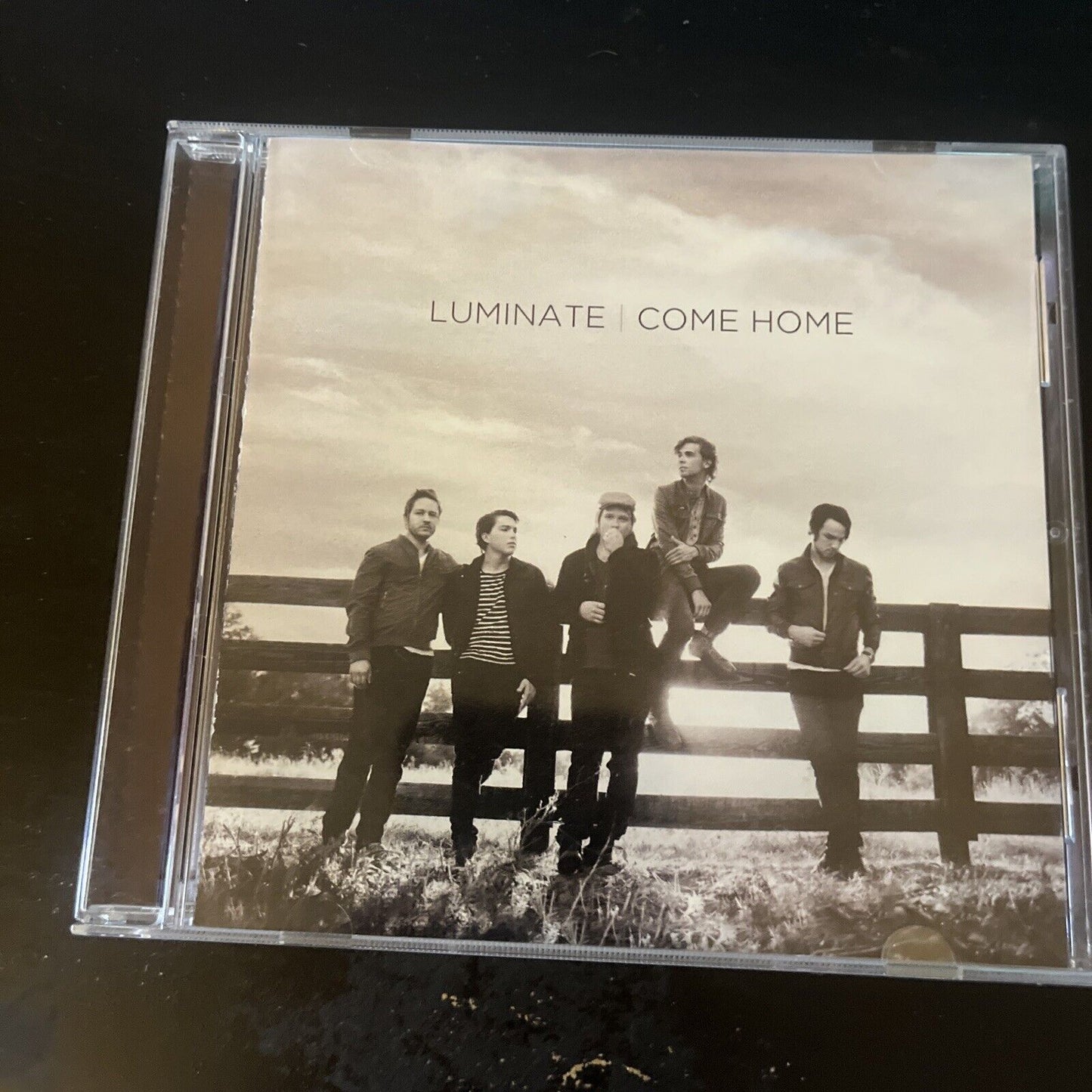 Luminate  - Come Home (CD, 2011)