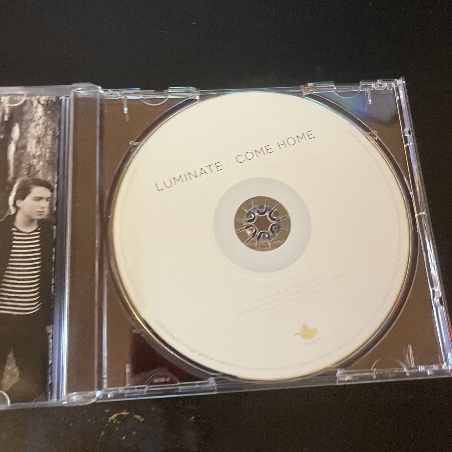 Luminate  - Come Home (CD, 2011)