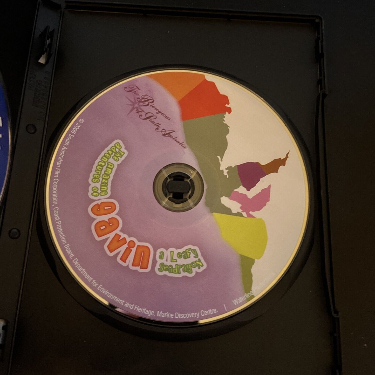 The Amazing Adventures Of Gavin - A Leafy Seadragon (DVD, 2006) All Regions