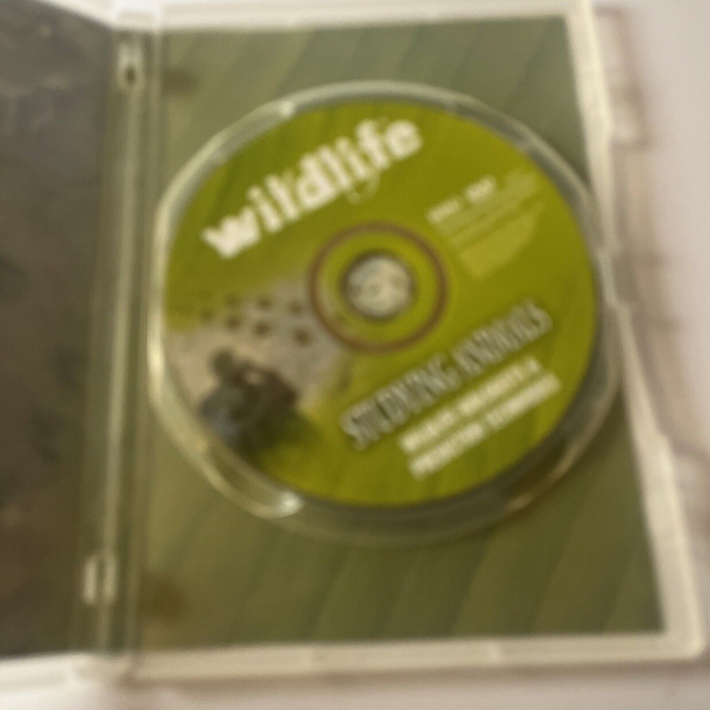 Studying Animals - Wildlife Biologists & Prediction Techniques (DVD) All Regions