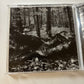 Pale Ravine by Deaf Center (CD, 2005) Album