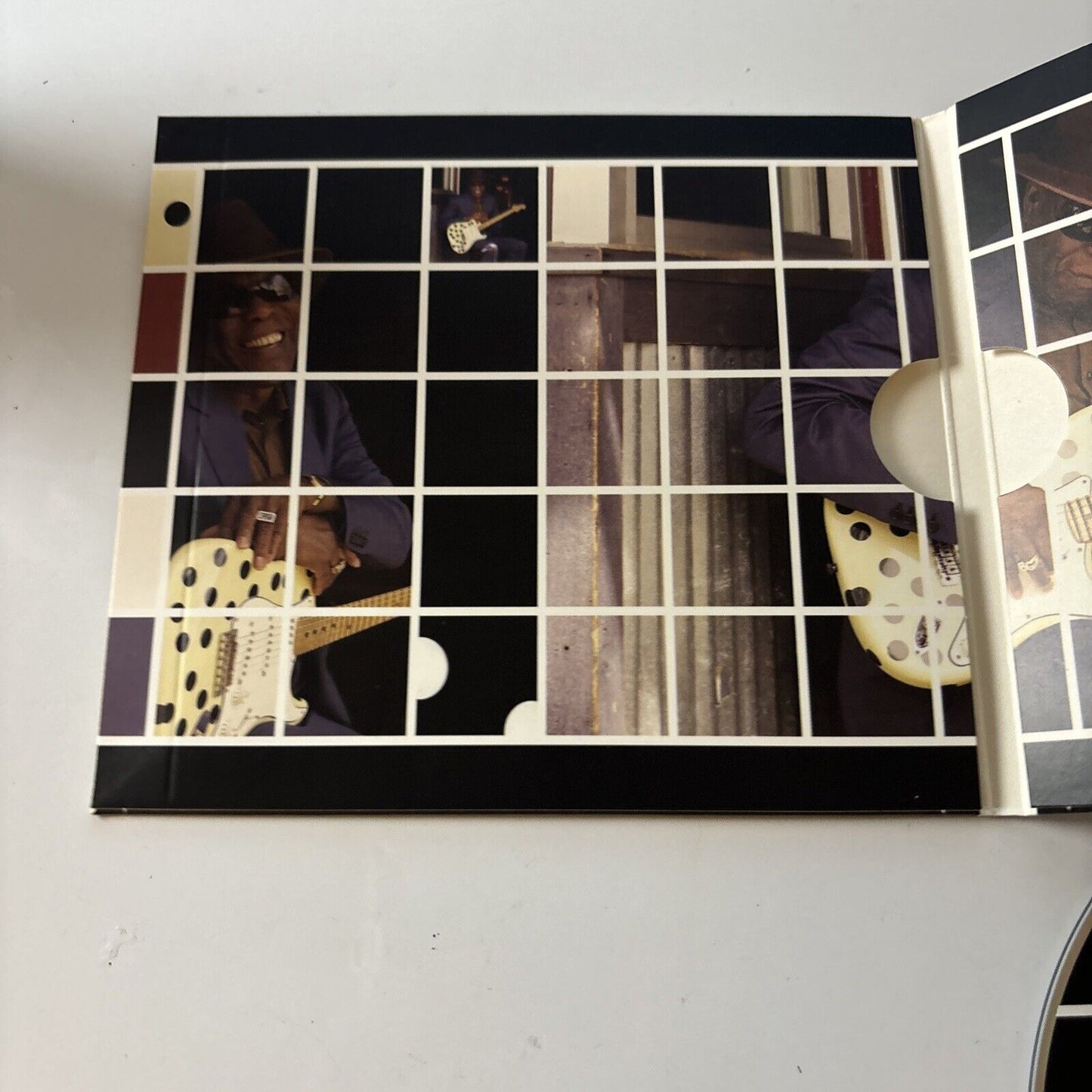 Buddy Guy - Skin Deep (CD, 2008)