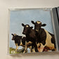 Pink Floyd - Atom Heart Mother  (CD, 2008)
