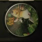 The Jungle Bunch - The Movie DVD