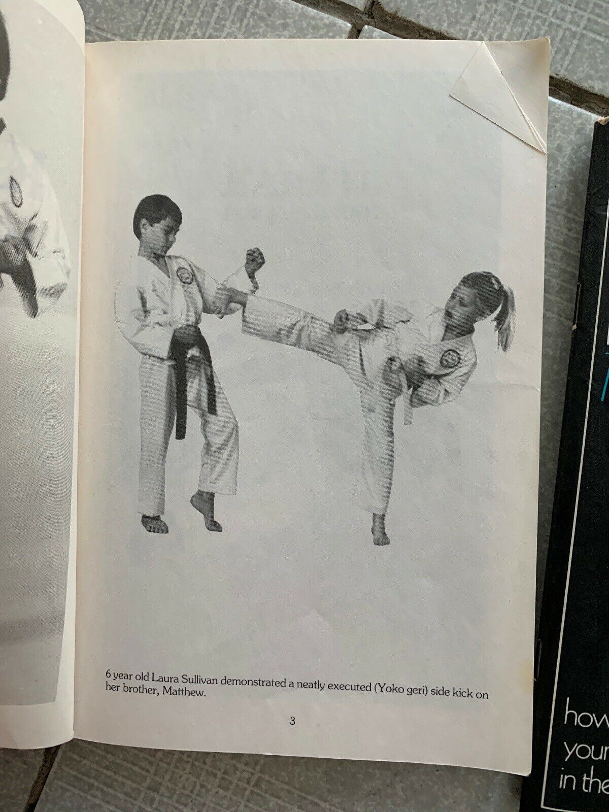 Karate For Everyone By Robert B. Sullivan First Print 1985 Gokan Ryu