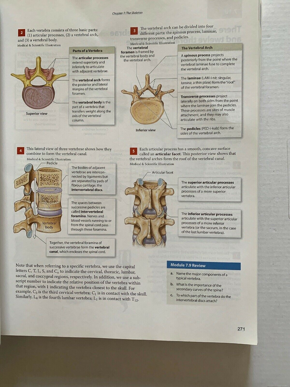 Visual Anatomy & Physiology By Martini Ober Nath (1st Edition) 2014