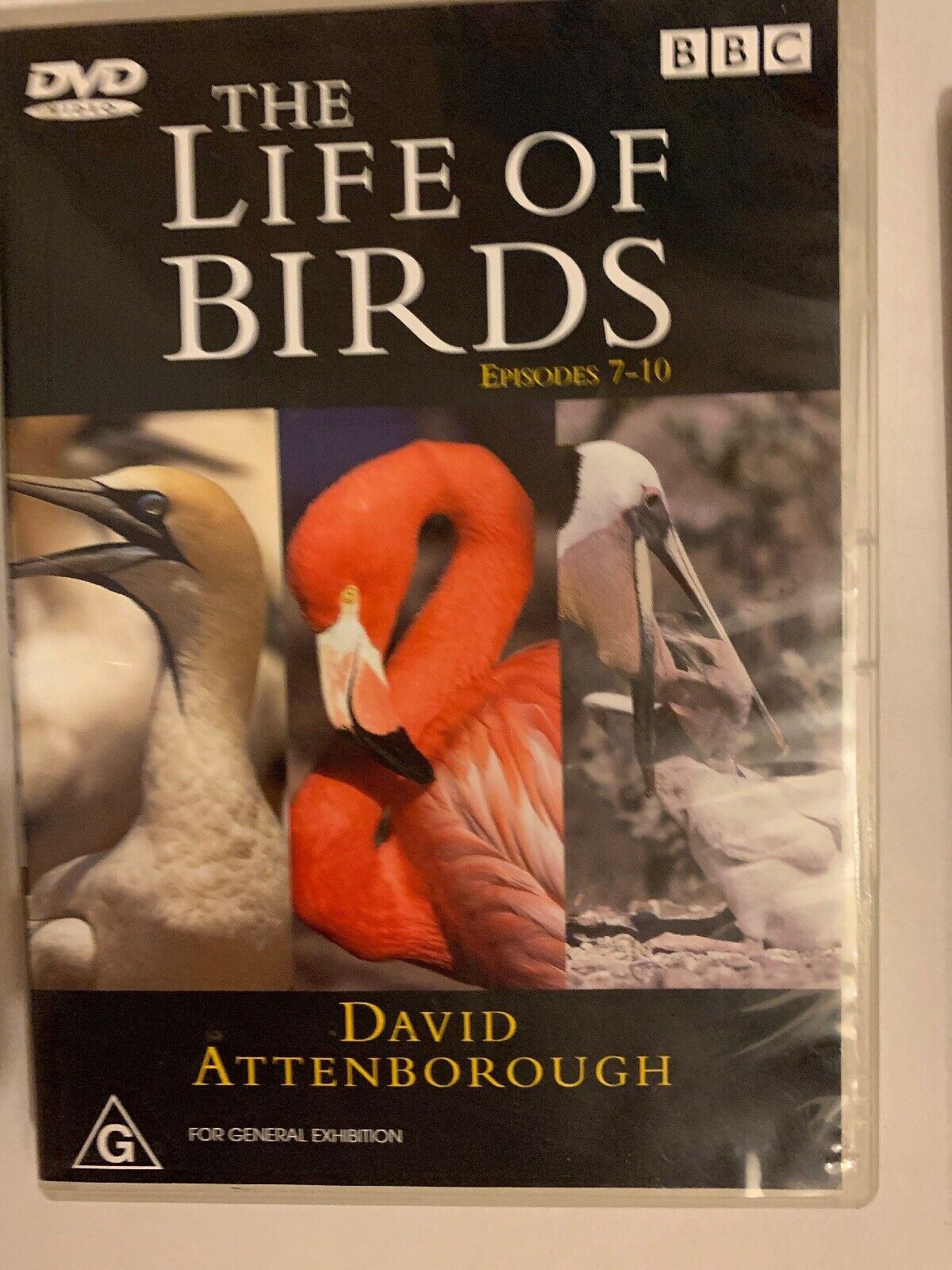 BBC The Life Of Birds (DVD, 2001) Box Set Region 4