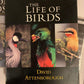 BBC The Life Of Birds (DVD, 2001) Box Set Region 4
