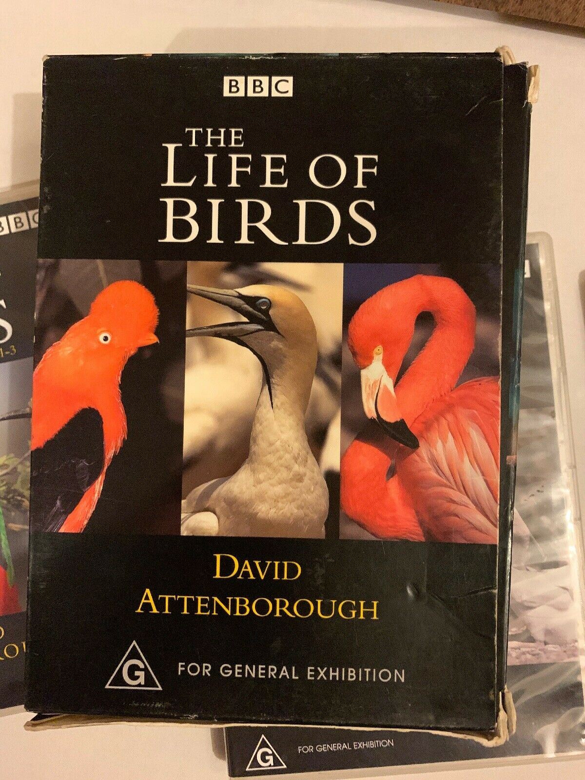 BBC The Life Of Birds (DVD, 2001) Box Set Region 4