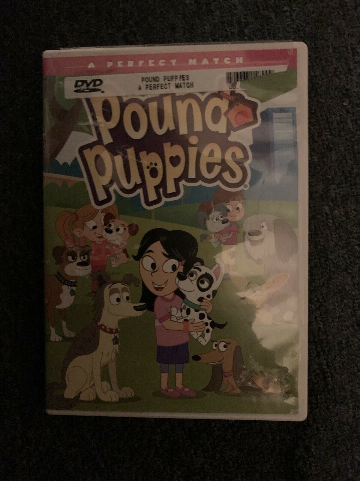 2x Pound Puppies DVD - Super Secret Pup Club, A Perfect Match - Region 1