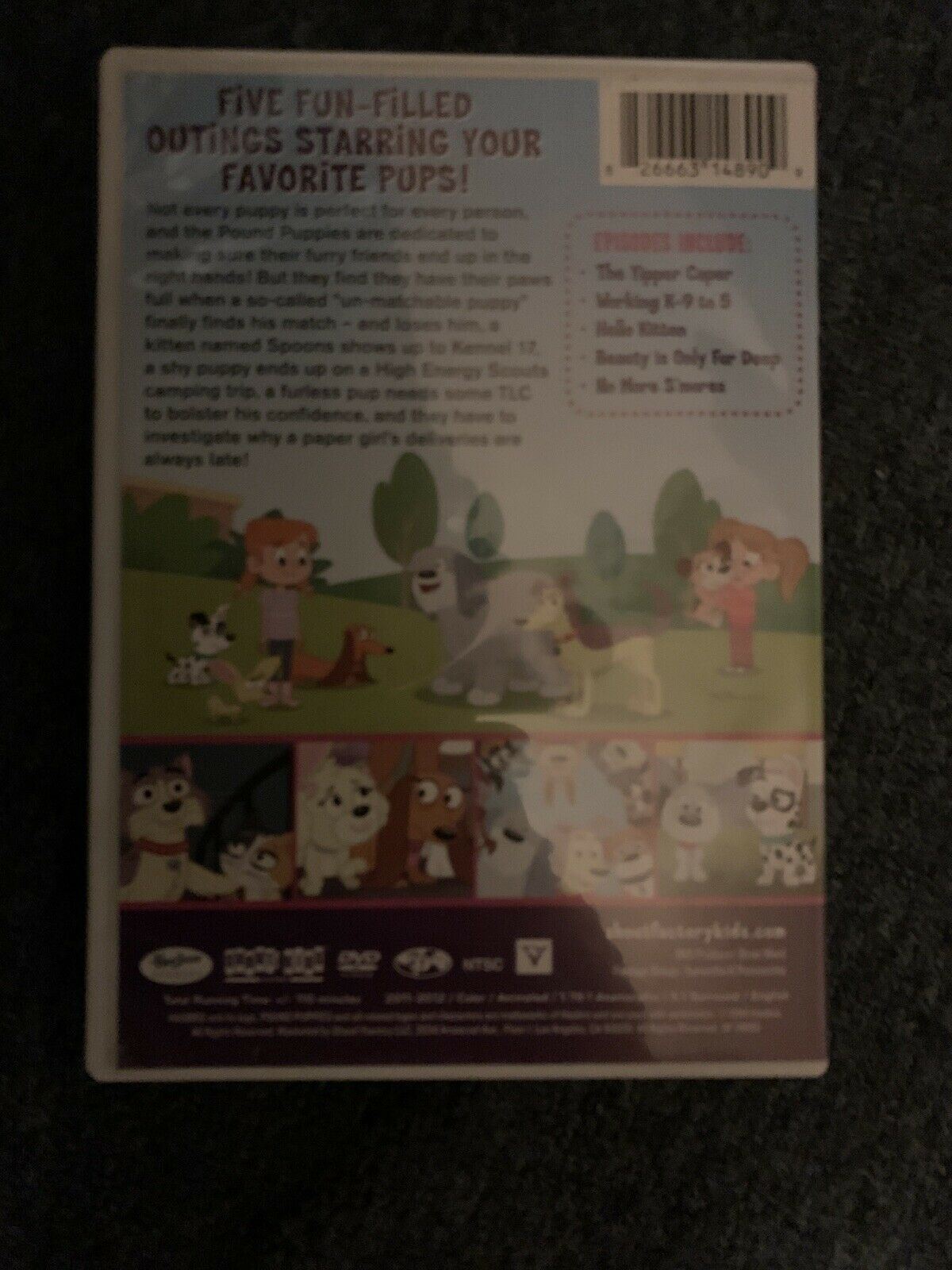 2x Pound Puppies DVD - Super Secret Pup Club, A Perfect Match - Region 1