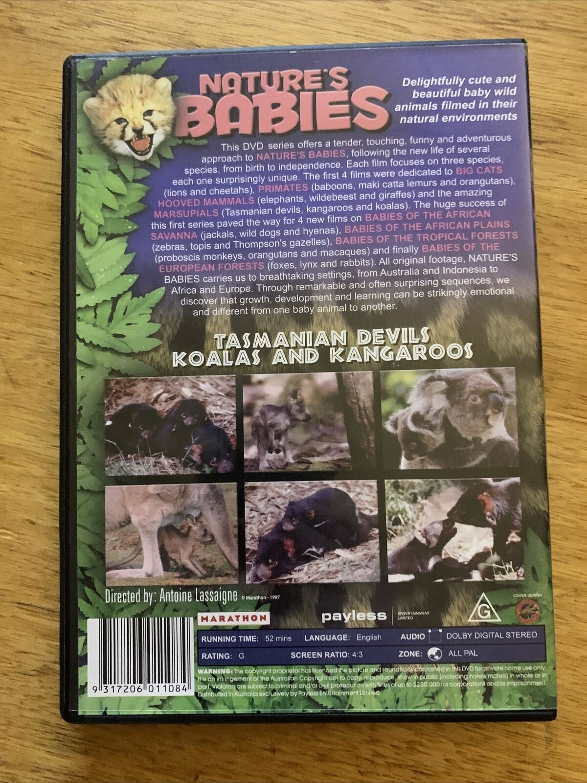 Nature's Babies: Tasmanian Devils, Koalas and Kangaroos (DVD, 1997)