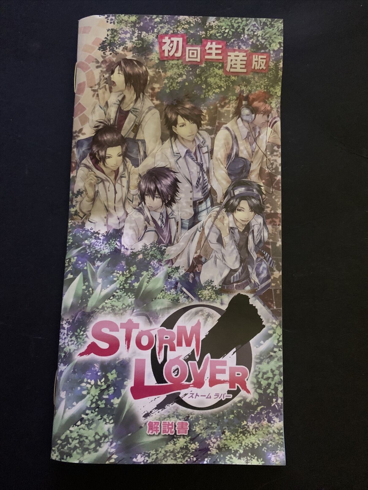 Storm Lover - Sony PSP Japan Game w Manual