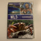 BBC: Wild Caribbean (DVD, 2009, 2-Disc) Region 4&2