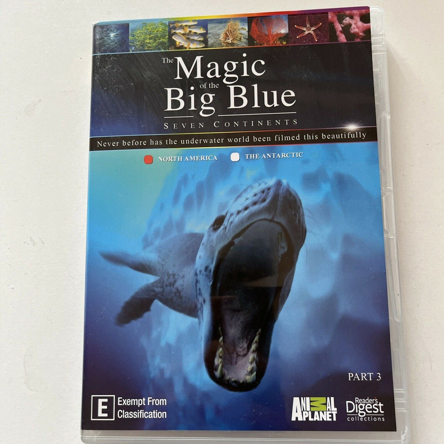 Animal Planet: The Magic of the Big Blue - Seven Continents (DVD, 2013, 3-Disc)