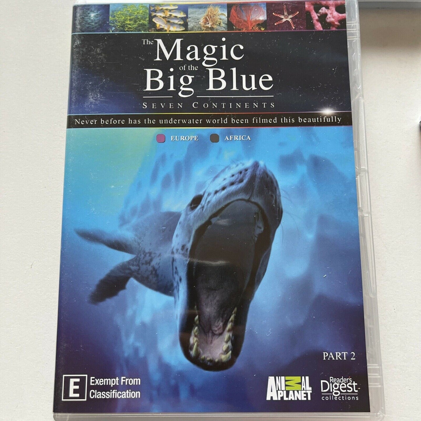 Animal Planet: The Magic of the Big Blue - Seven Continents (DVD, 2013, 3-Disc)