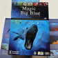 Animal Planet: The Magic of the Big Blue - Seven Continents (DVD, 2013, 3-Disc)