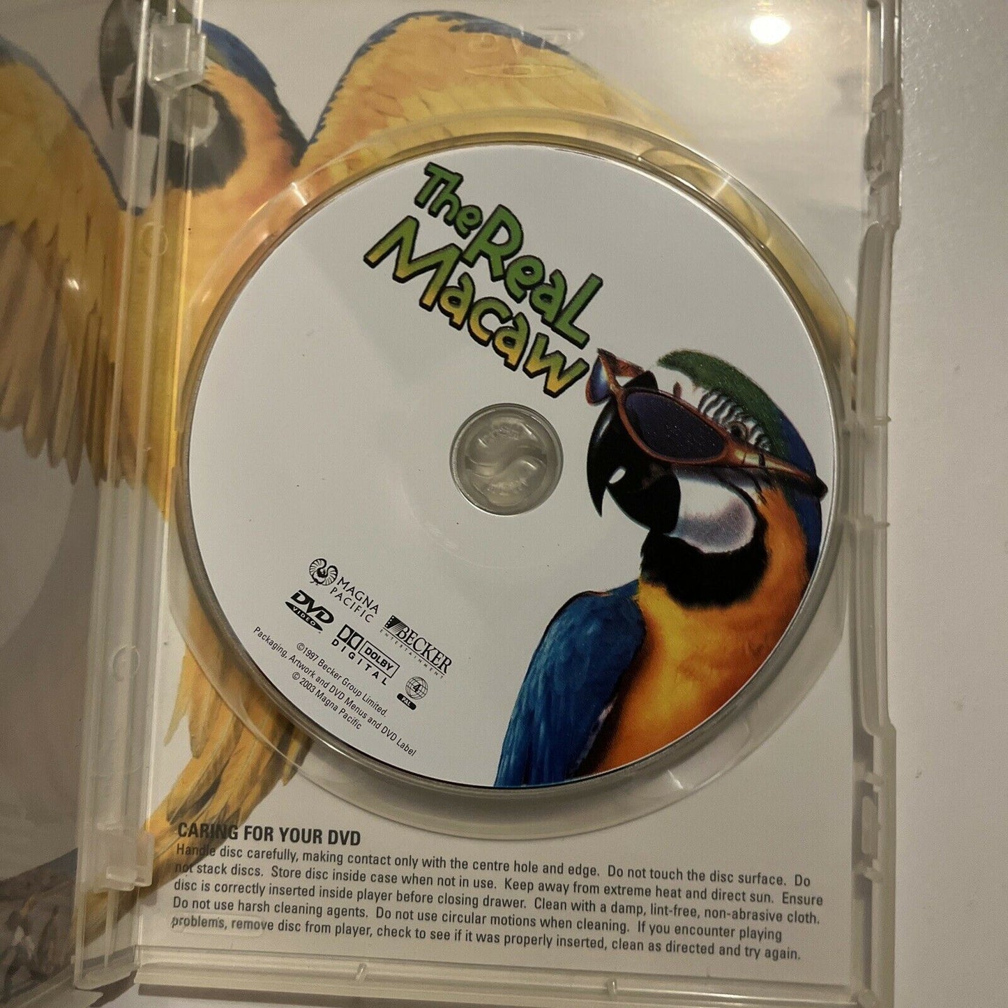 The Real Macaw (DVD, 1998) Jamie Croft Region 4 Free Postage