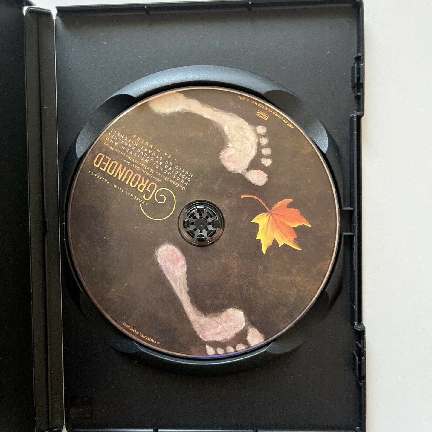 Dr David Suzuki: Grounded - Could It Happen To You? (DVD, 2013) All Regions