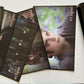 The Twilight Saga Eclipse: Limited Collector Edition (DVD, 2010, 3-Disc) Region4
