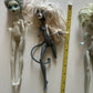 5x Monster High Dolls CLAWDEEN WOLF, Catrine Demew, Lagoona Blue, W *Parts Only*