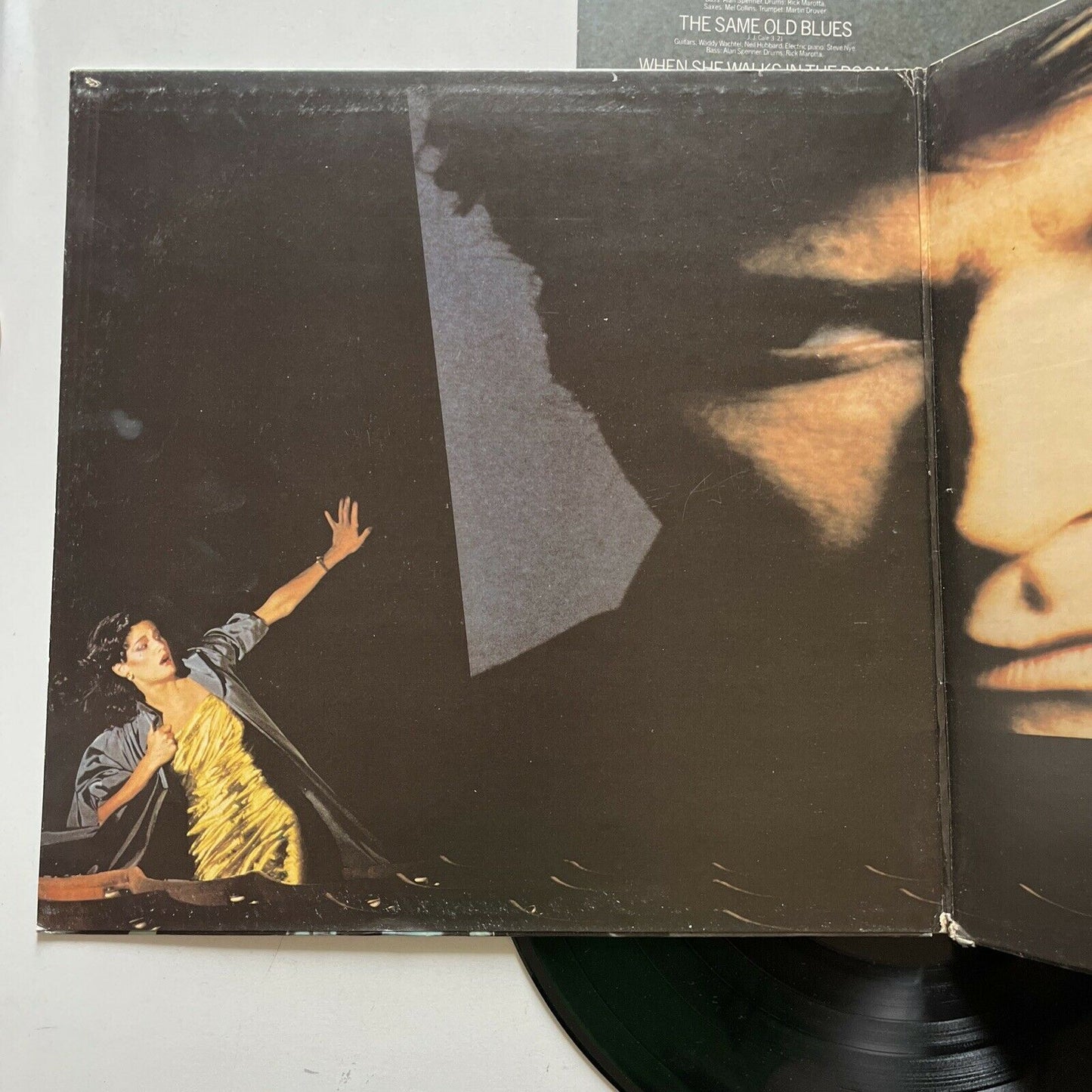 Bryan Ferry - The Bride Stripped Bare (Vinyl, 1978)