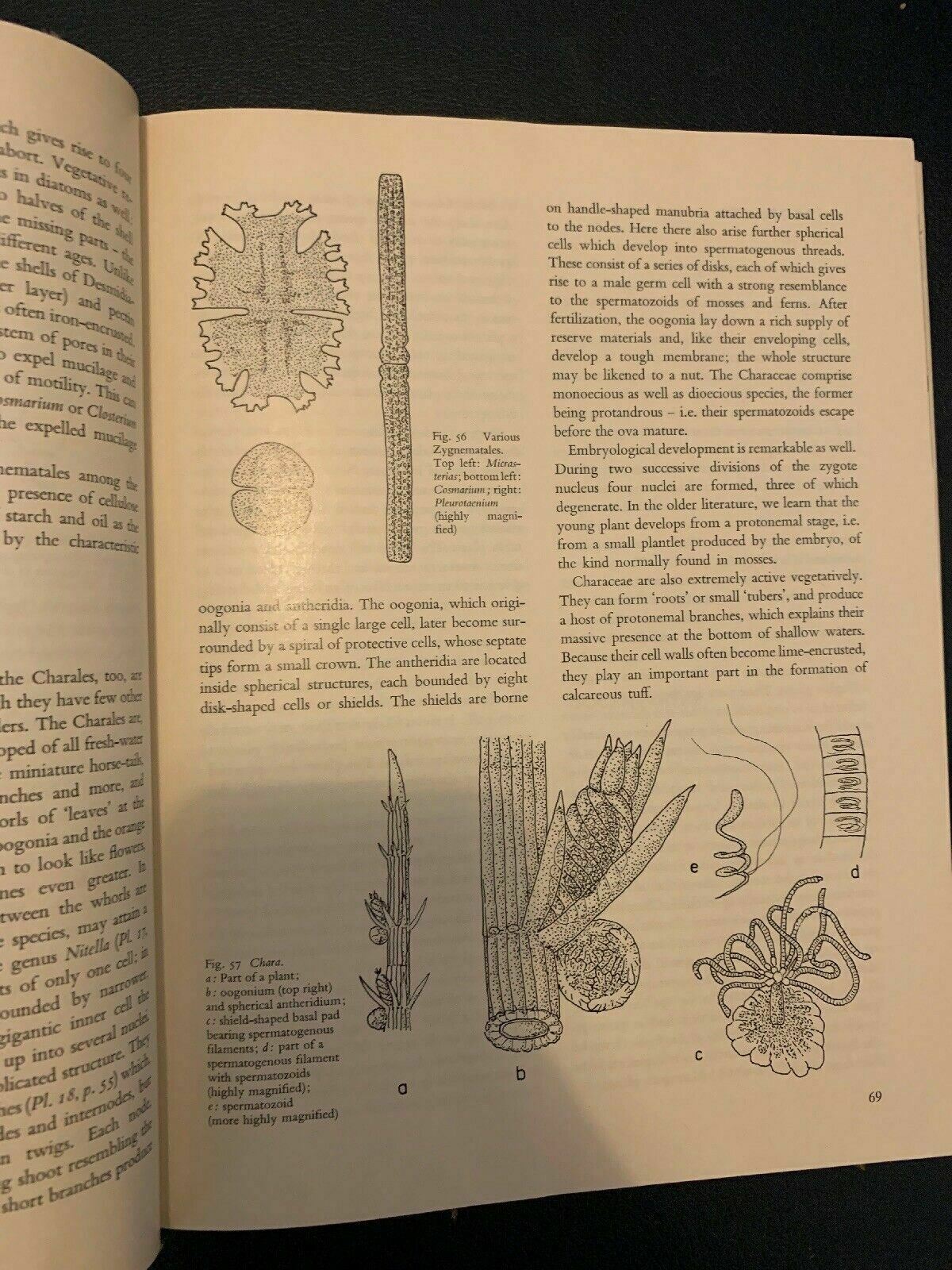 Plants Of The World: The Lower Plants by K.B.Boedijn 1968 Hardcover First Editio