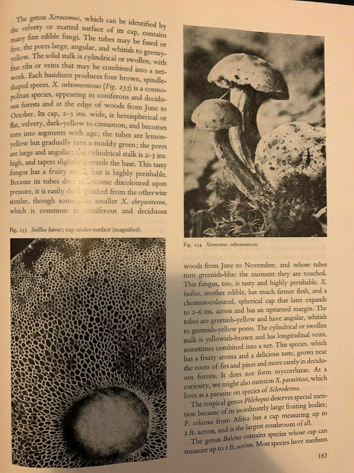 Plants Of The World: The Lower Plants by K.B.Boedijn 1968 Hardcover First Editio