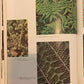 Plants Of The World: The Lower Plants by K.B.Boedijn 1968 Hardcover First Editio
