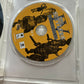 The Settlers IV - Gold Edition PC CDROM