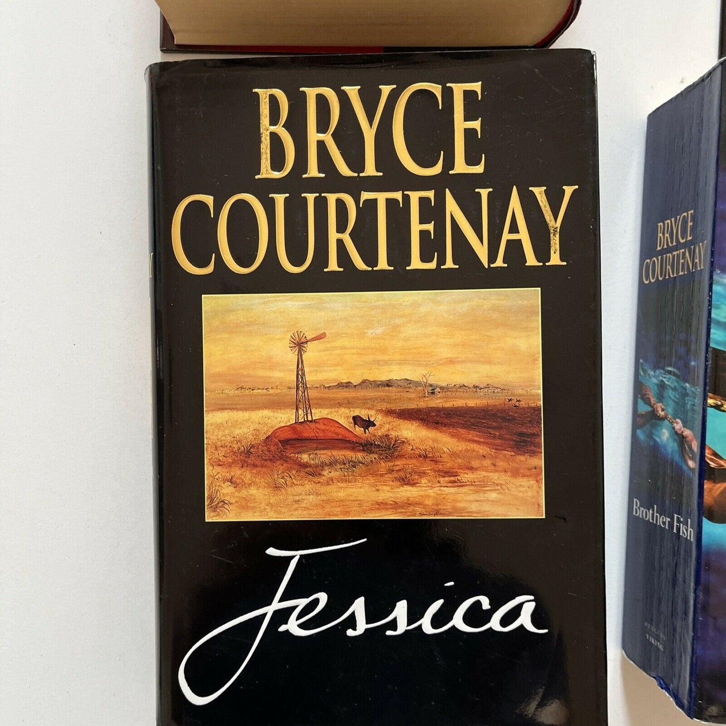 4x Bryce Courtenay Books: Four Fires, Whitethorn, Jessica, Brother Fish