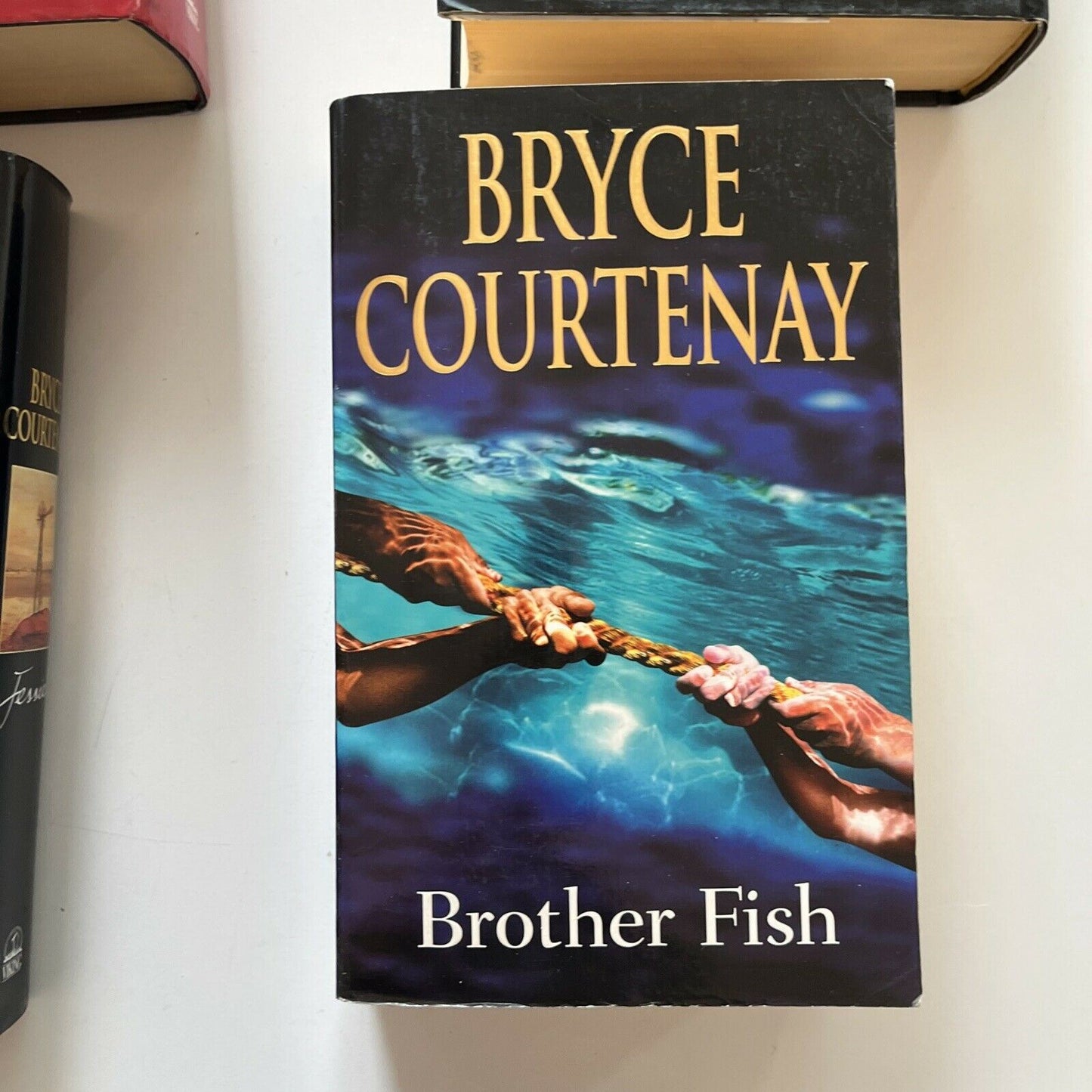 4x Bryce Courtenay Books: Four Fires, Whitethorn, Jessica, Brother Fish