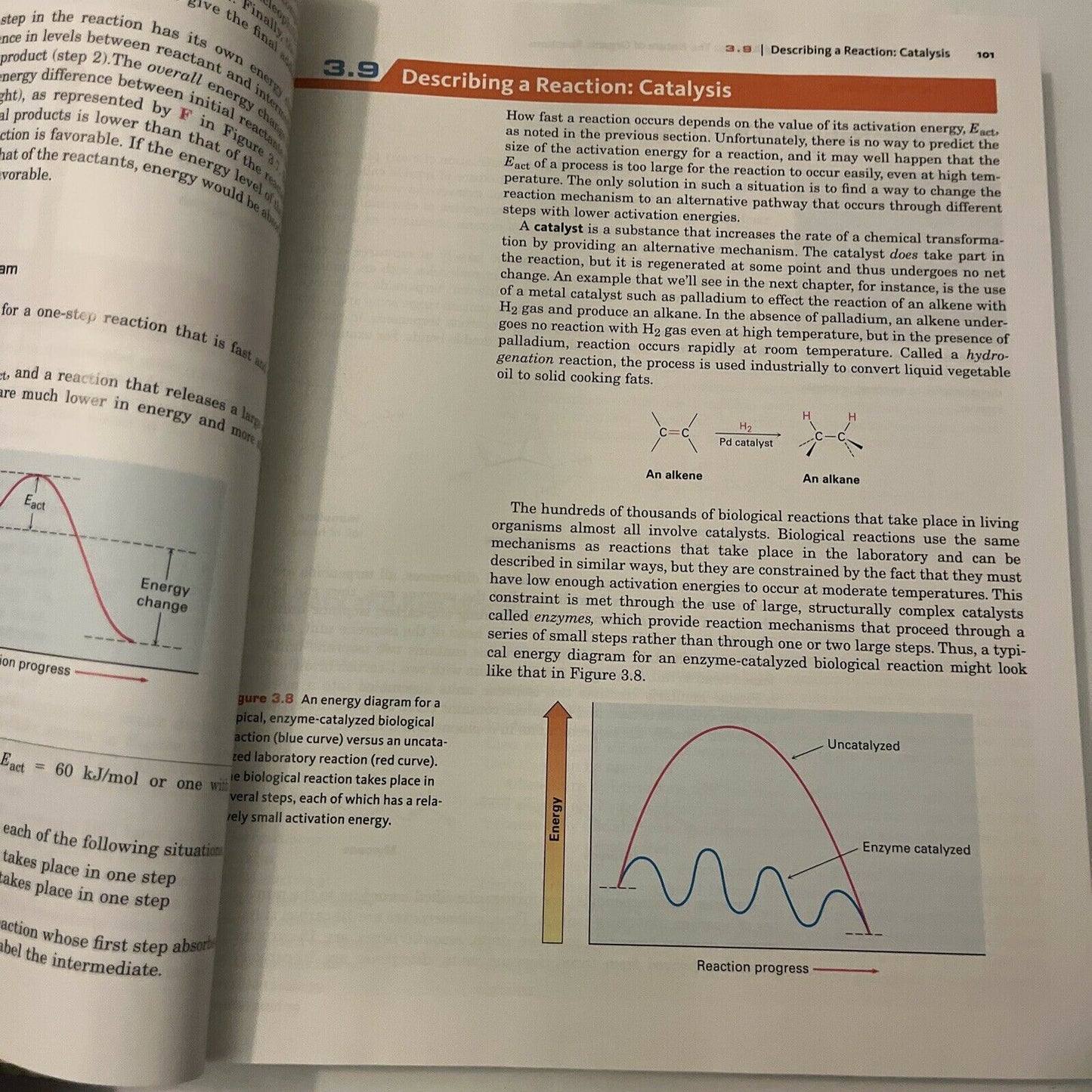 Fundamentals of Organic Chemistry by John McMurry (Hardcover, 2010)