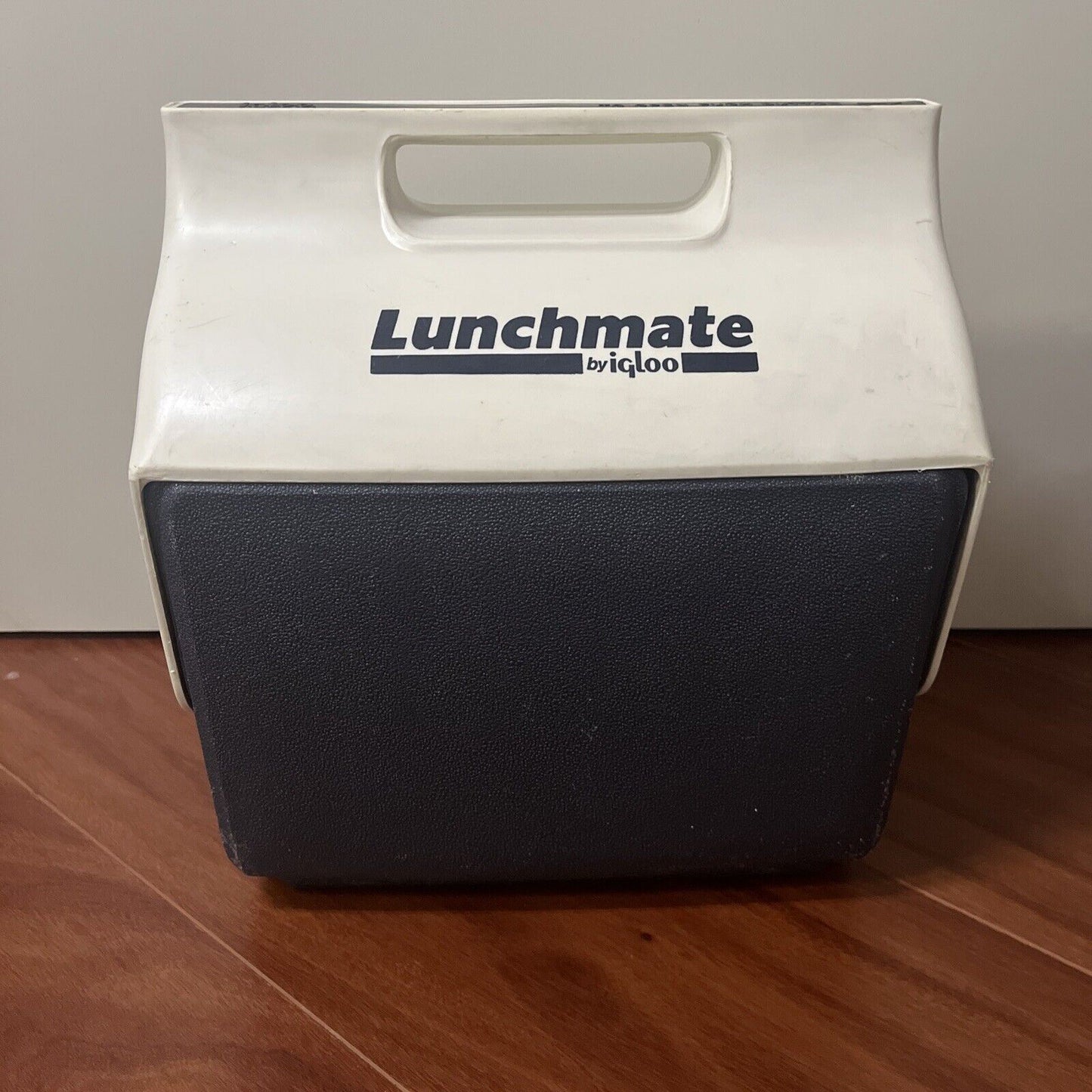 Lunchmate by Igloo Cooler Lunchbox