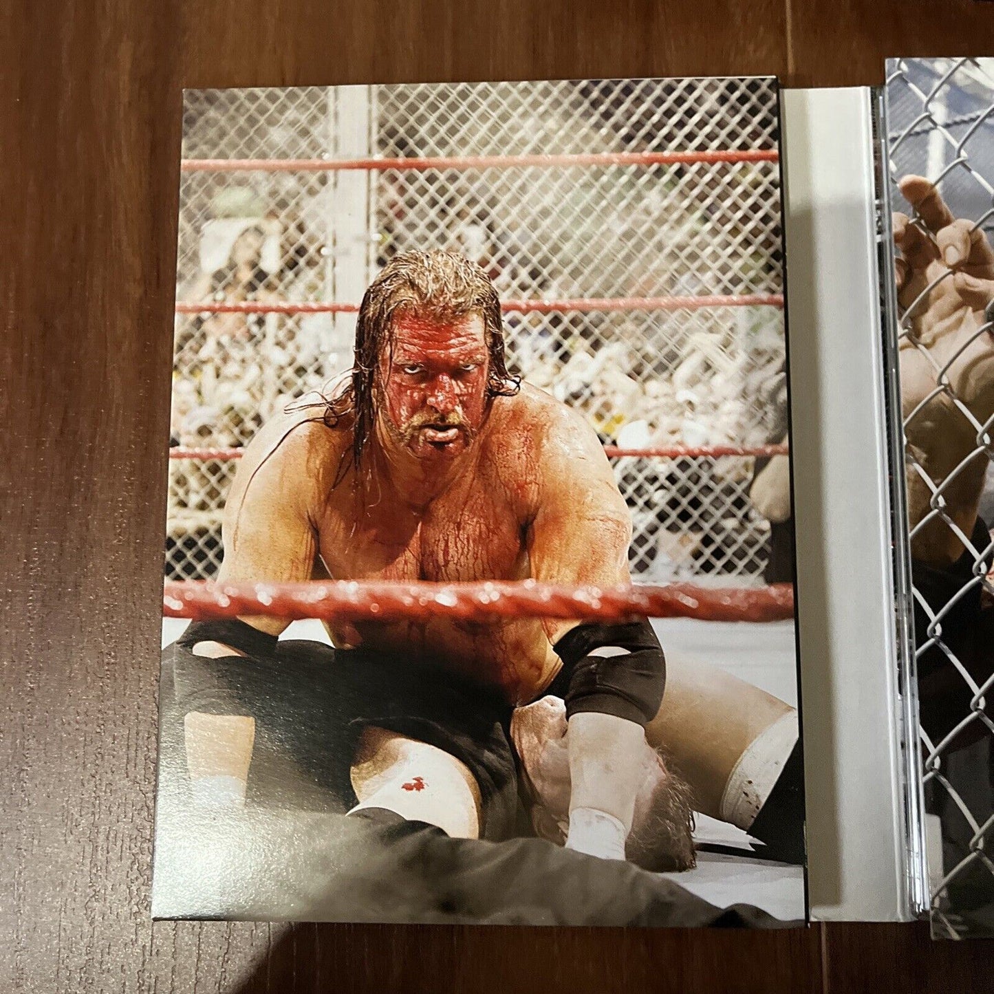 WWE: Hell in A Cell Greatest Hell in a Cell Matches (DVD, 2007, 3-Disc) Region 4
