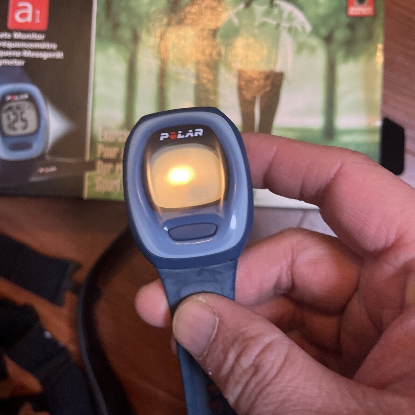 Polar A1 Heart Rate Monitor