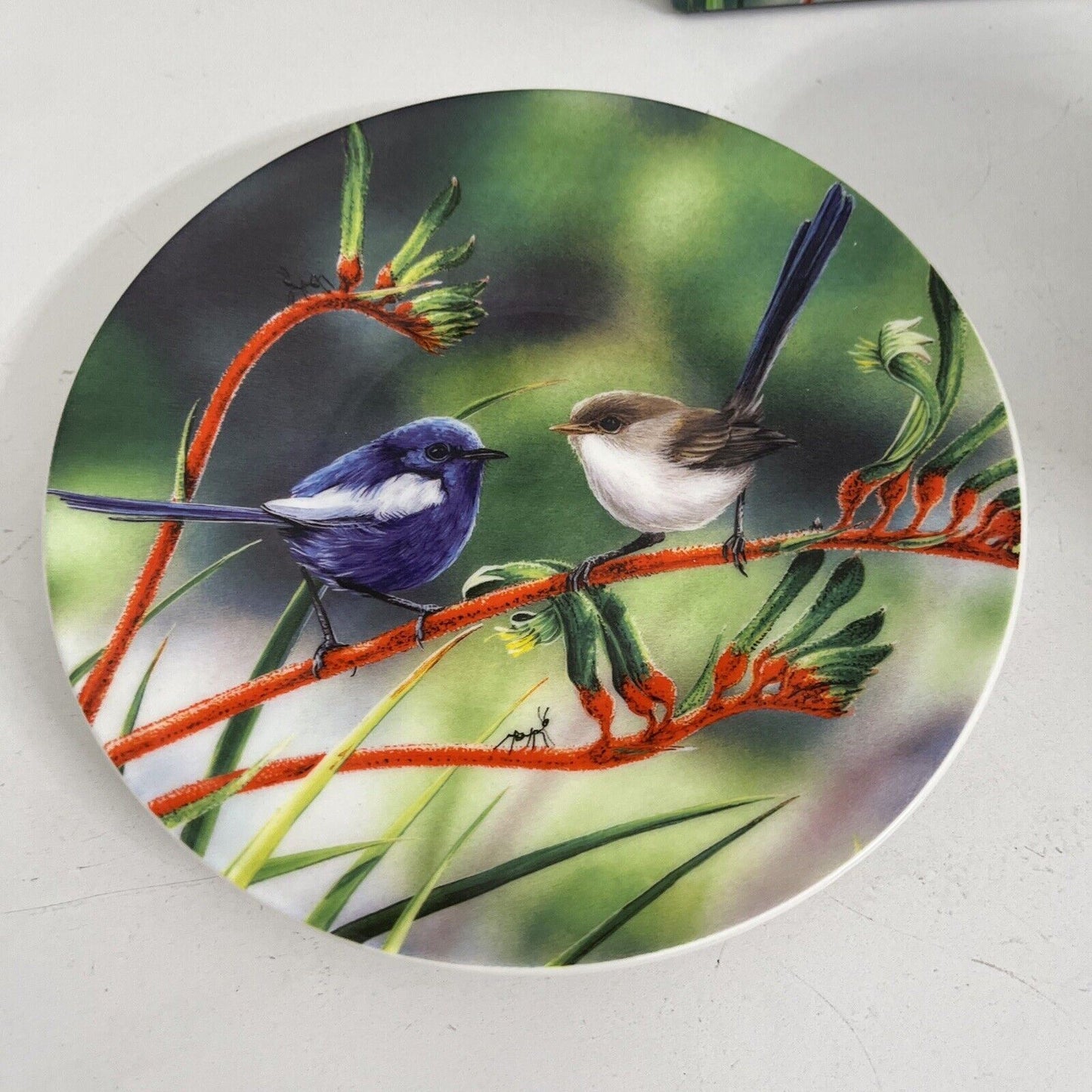 Ashdene 250ml Australian Wren Bush Dance Matching Tea Cup/Saucer Drinking Mug