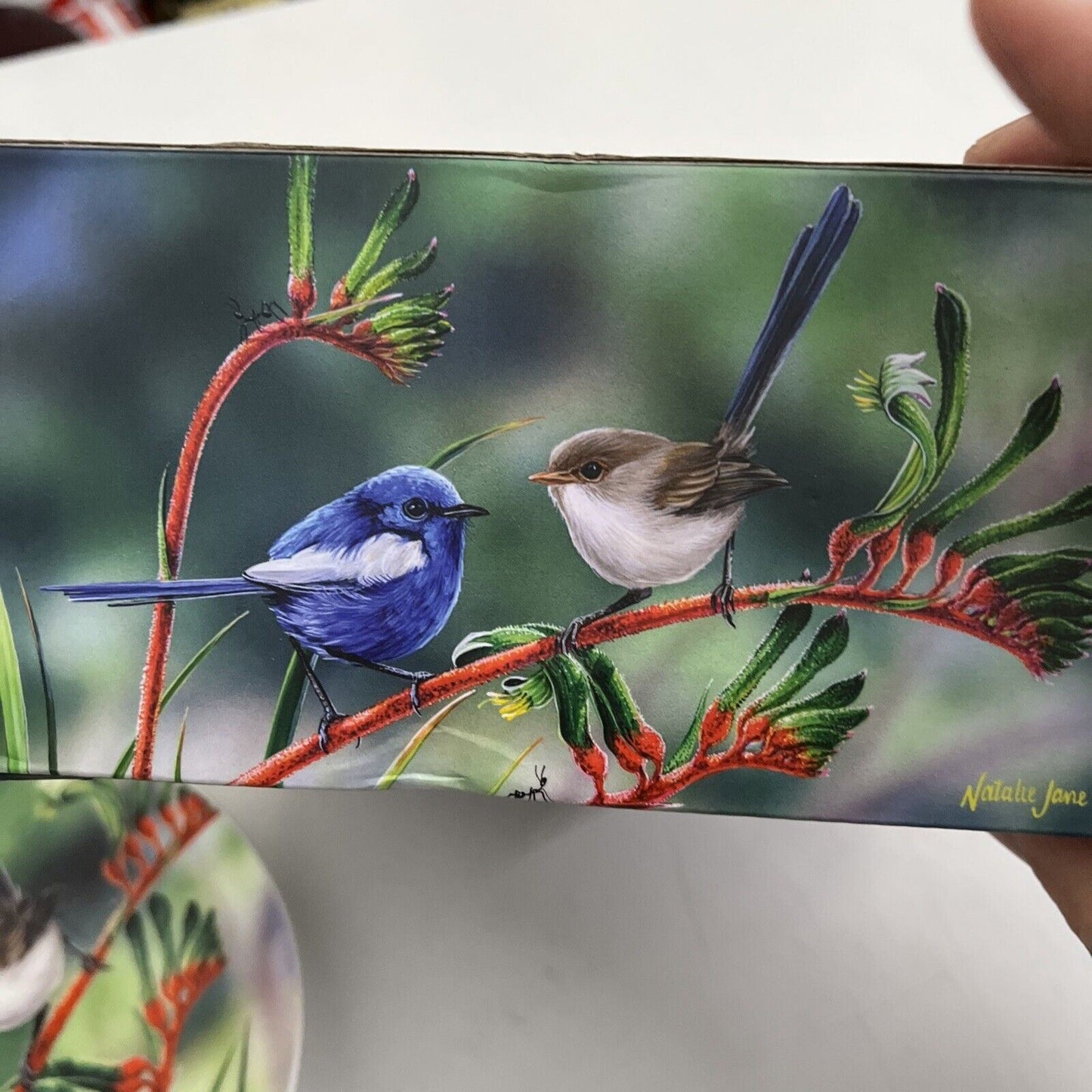 Ashdene 250ml Australian Wren Bush Dance Matching Tea Cup/Saucer Drinking Mug