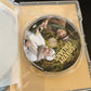 Two Greedy Italians : Season 2 (DVD, 2012, 2-Disc) Antonio Carluccio All Regions