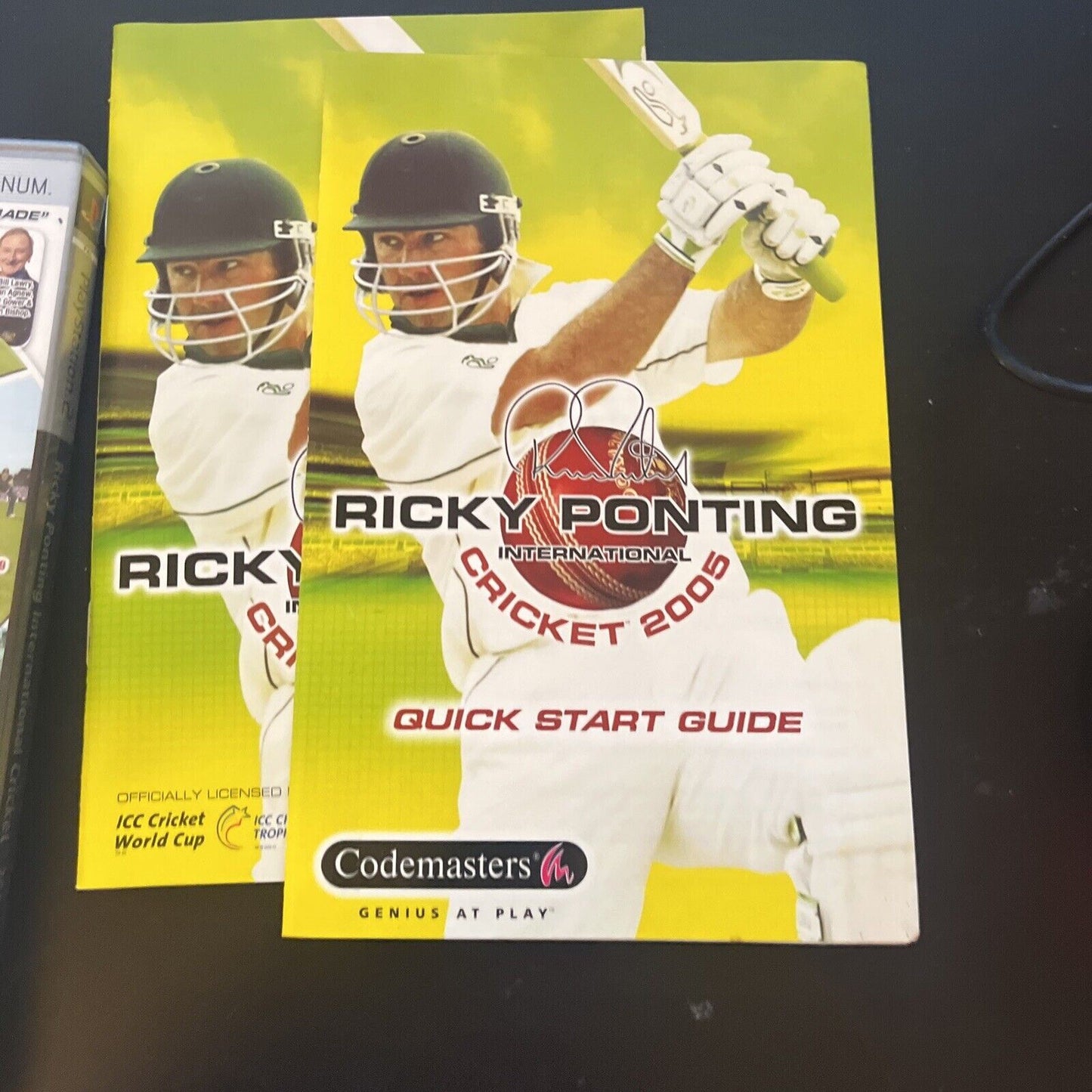 Ricky Ponting International Cricket 2005 Sony PS2 (Platinum) PAL With Manual