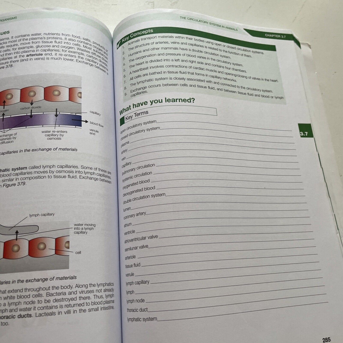 Biology Combined Workbook Topics 1-4 First Edition 2016
