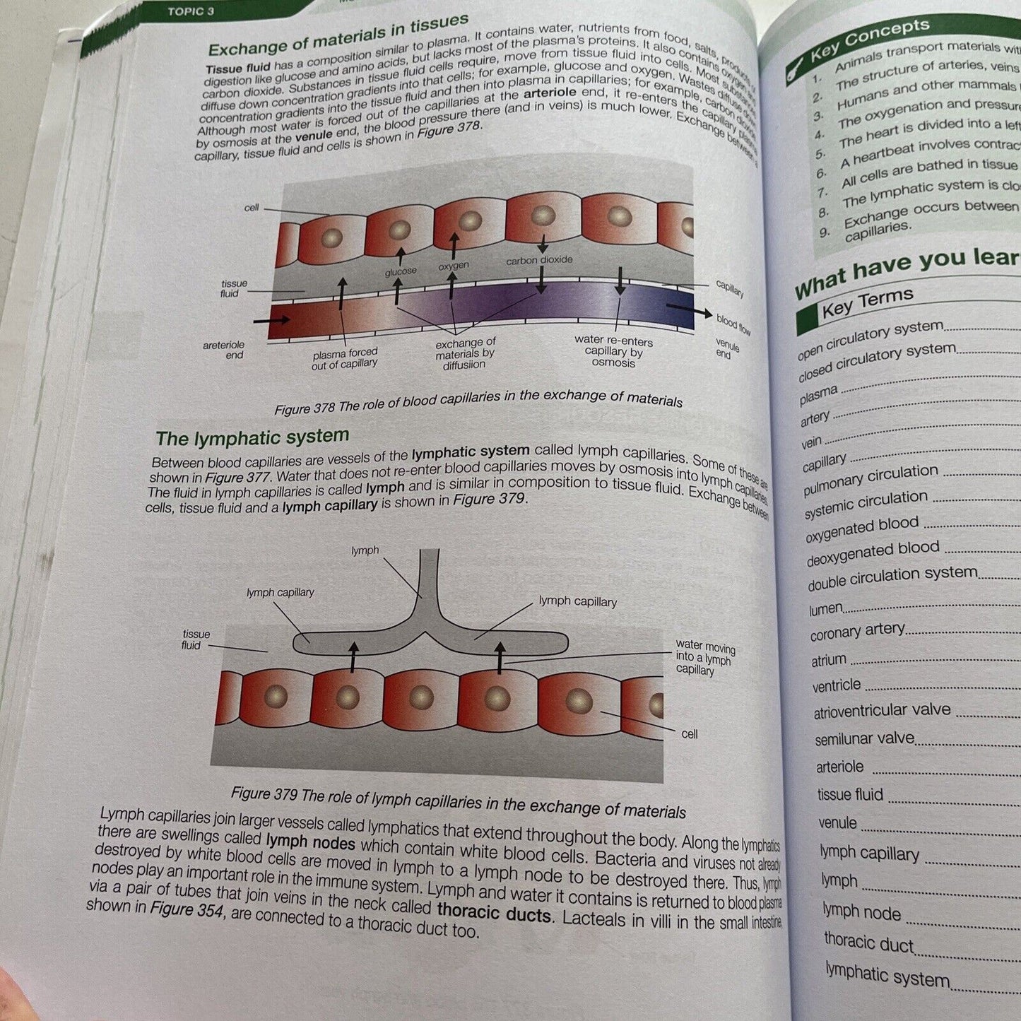 Biology Combined Workbook Topics 1-4 First Edition 2016